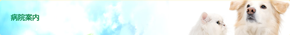 病院案内