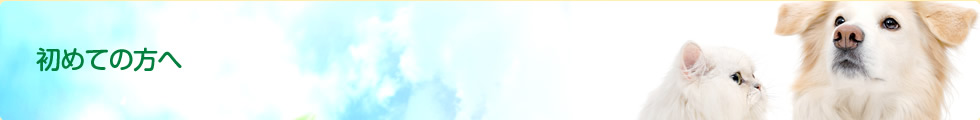 初めての方へ