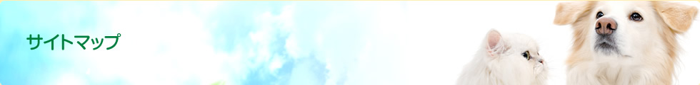 サイトマップ