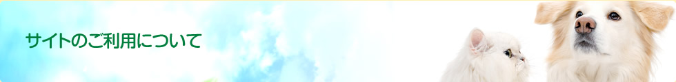 サイトのご利用について